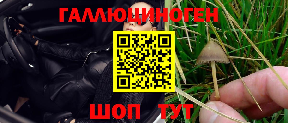 Галлюциногенные грибы Magic Shrooms  Вход с VPN  Псилоцибиновые грибы мицелий  Архангельск 